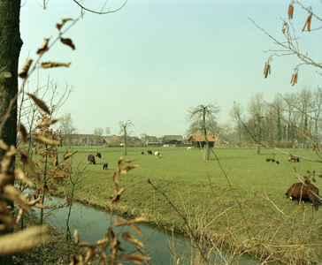 119594 Gezicht over een weiland bij de kinderboerderij (Geinoord 12) te Nieuwegein.